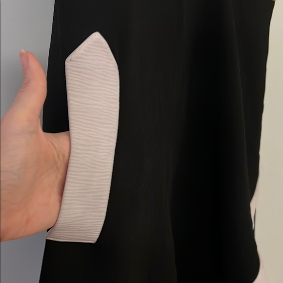 Pro LIND Black and White Asymmetrical Sleeveless Midi Dress - Picture 5 of 9